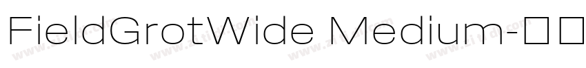 FieldGrotWide Medium字体转换